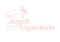 DARADJI INGENIERIE
